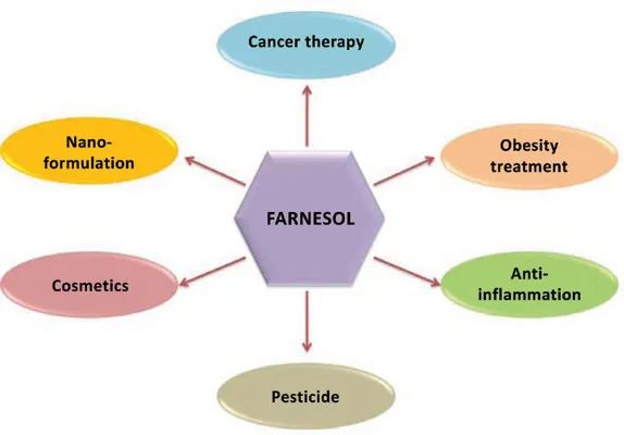 香精與香料(45)—金合歡醛、醇與金合歡油