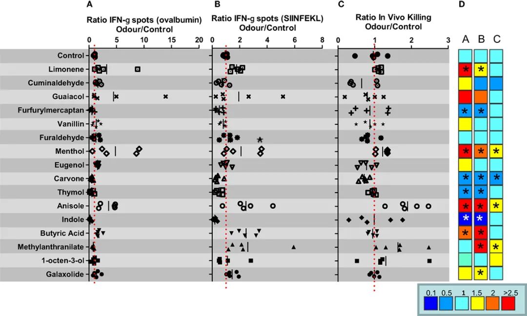 香精與香料(47)—香芹酮與葛縷子、留蘭香、蒔蘿