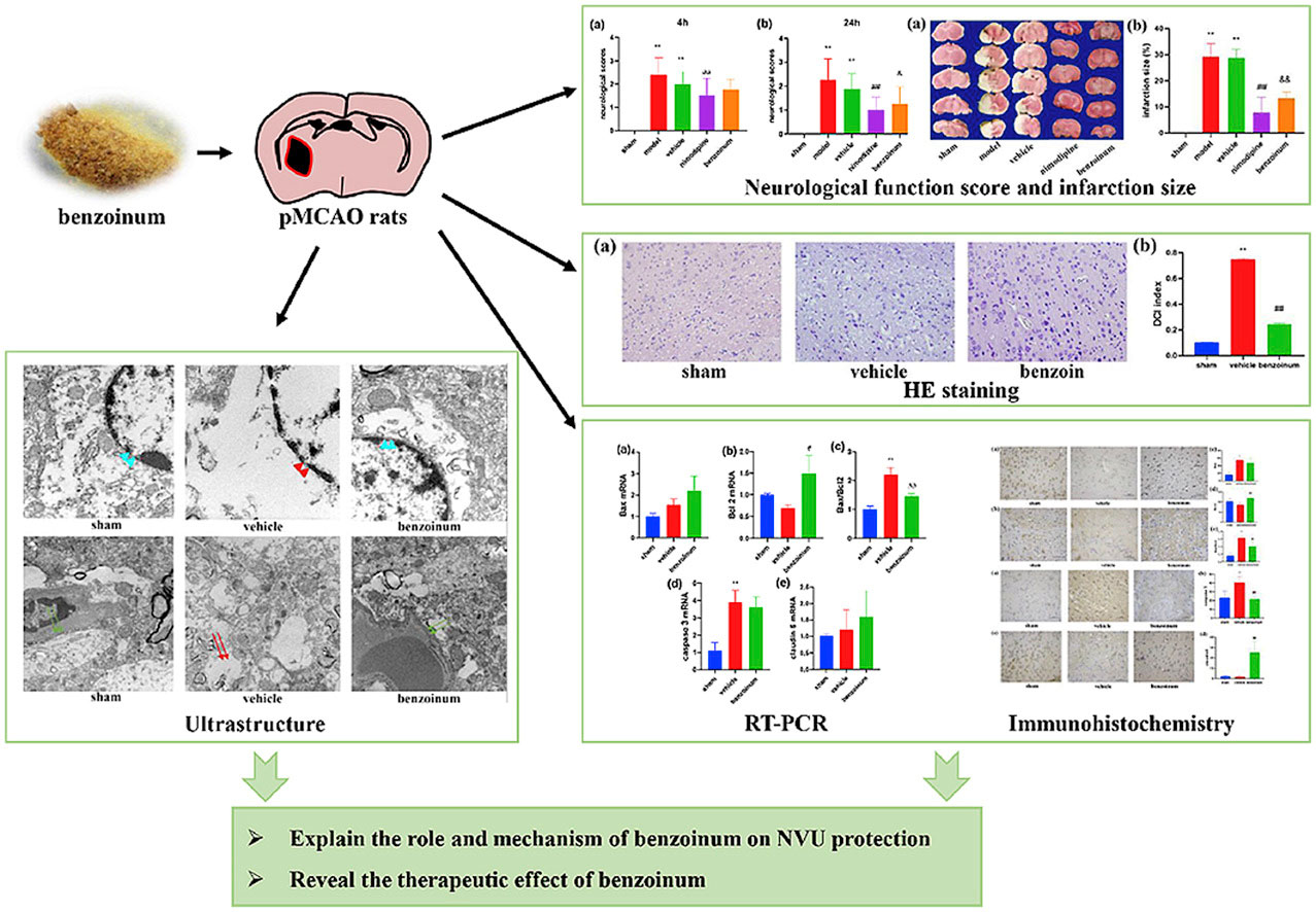 香精與香料(81)—安息香