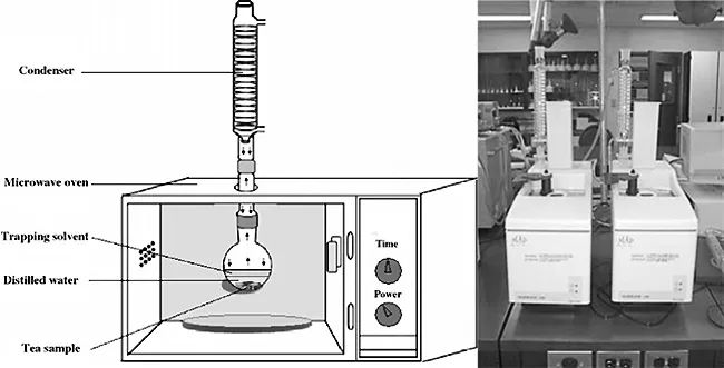香水的香氣從何而來？