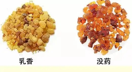 乳香，Boswellia Carterri Birdw 橄欖科
