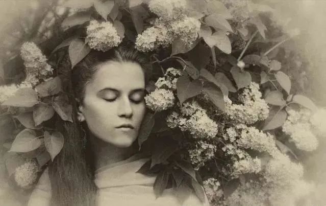 芳香療法，一個(gè)起源于5000年前的神秘學(xué)科