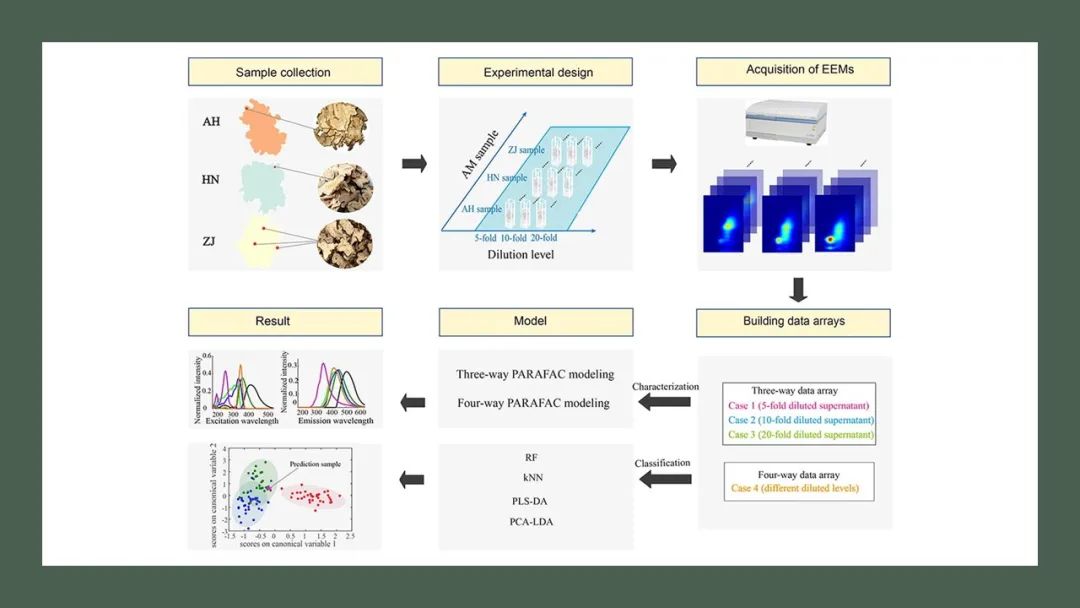 香精與香料(140)—白術(shù)