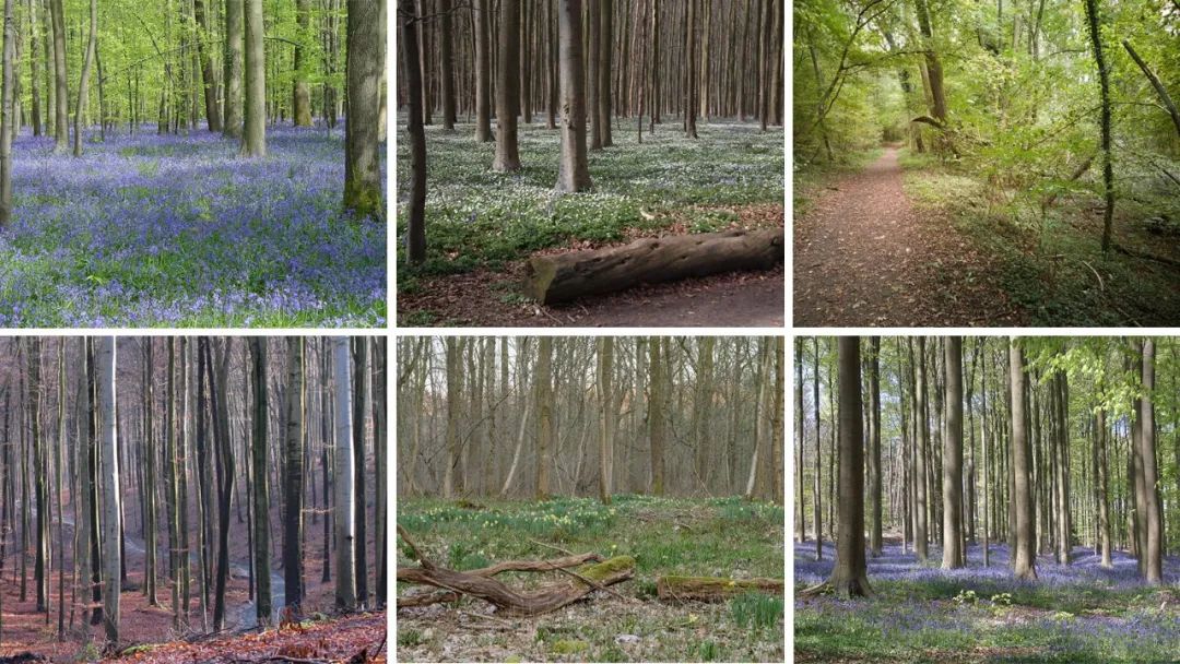 如何聞香:你需要知道的香水趨勢(shì)(2)