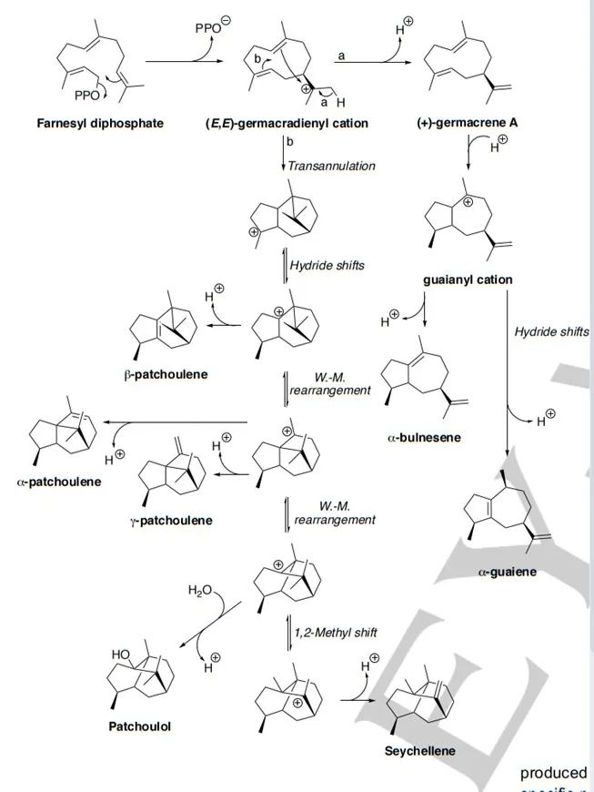 生物合成香料的化學(xué)組成、可持續(xù)性和天然性
