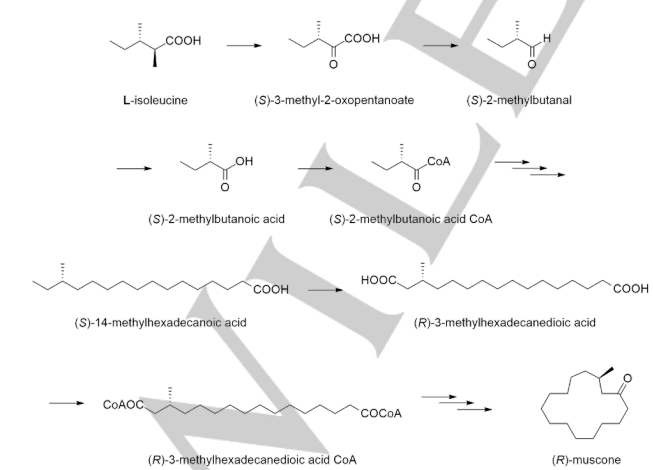 生物合成香料的化學(xué)組成、可持續(xù)性和天然性