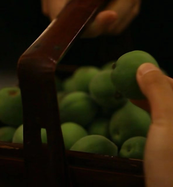 香精與香料(161)——烏梅 香精與香料(161)——烏梅