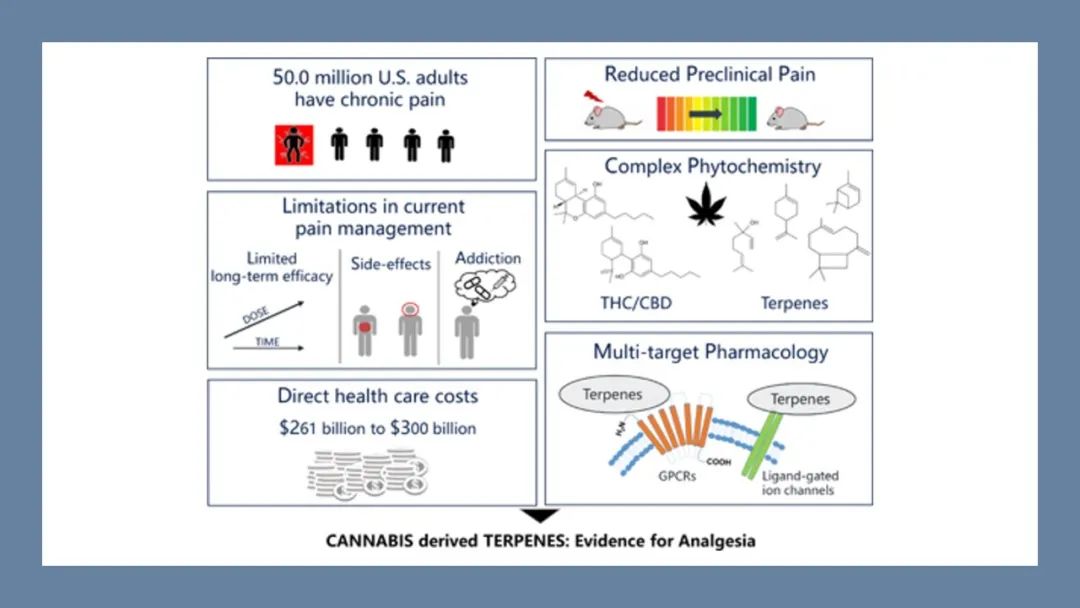 香精與香料(180)—火麻仁 香精與香料(180)—火麻仁