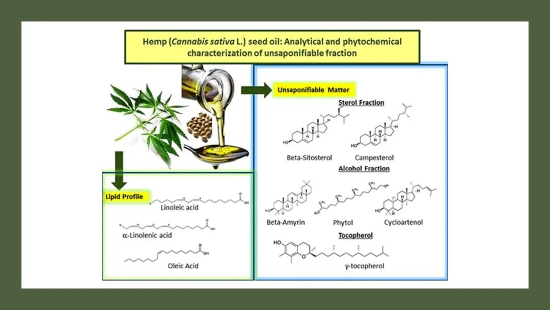 香精與香料(180)—火麻仁 香精與香料(180)—火麻仁