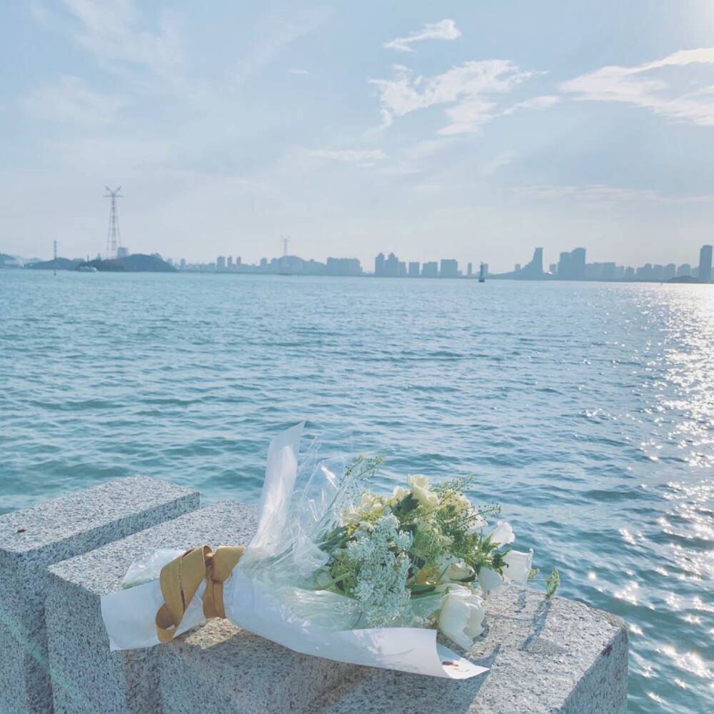 無火藤條香薰|治愈生活的自然味道 無火藤條香薰|治愈生活的自然味道