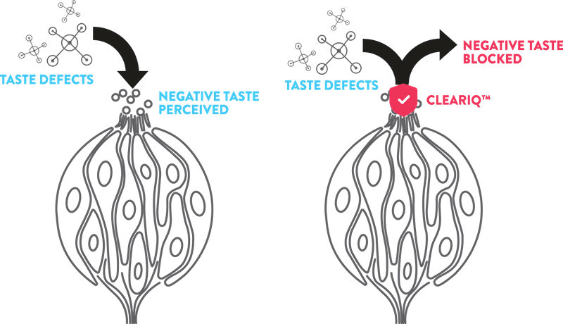 香精香料高新企業(yè)簡(jiǎn)介(9)——MycoTechnology 香精香料高新企業(yè)簡(jiǎn)介(9)——MycoTechnology