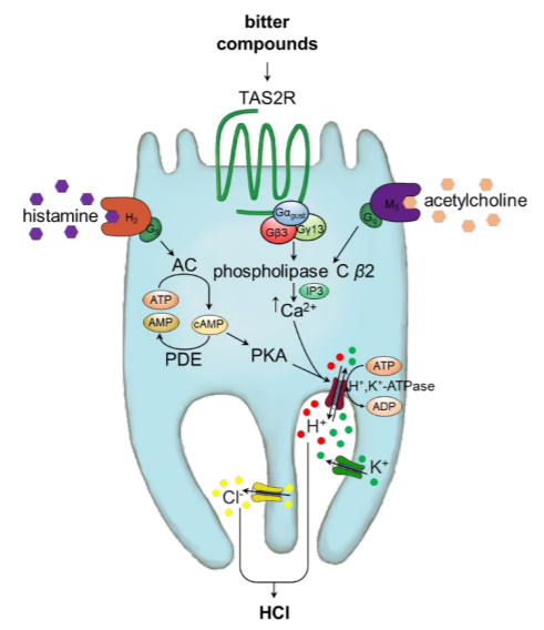 JAFC09052022風味文獻速覽 JAFC09052022風味文獻速覽