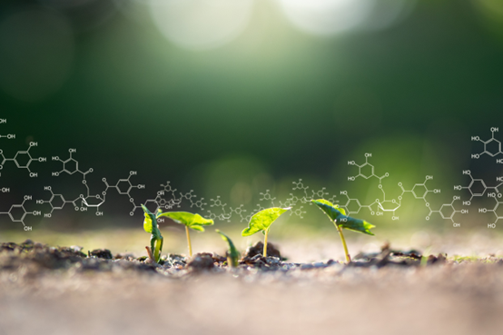 行業(yè)洞察:香料香精行業(yè)規(guī)劃的進(jìn)展 行業(yè)洞察:香料香精行業(yè)規(guī)劃的進(jìn)展