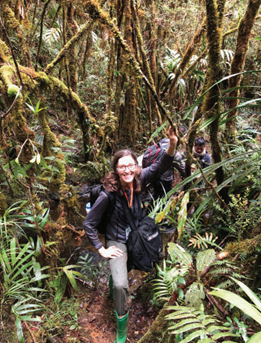 投資于植物保護的香精配方 投資于植物保護的香精配方