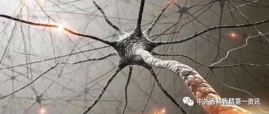 揭開嗅覺之謎 揭開嗅覺之謎