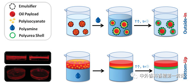 開(kāi)拓香精香料遞送系統(tǒng)的潛力 開(kāi)拓香精香料遞送系統(tǒng)的潛力