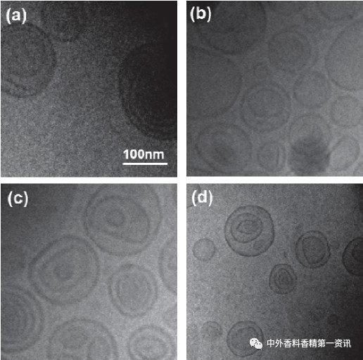 F&F文獻綜述:香氣釋放 F&F文獻綜述:香氣釋放