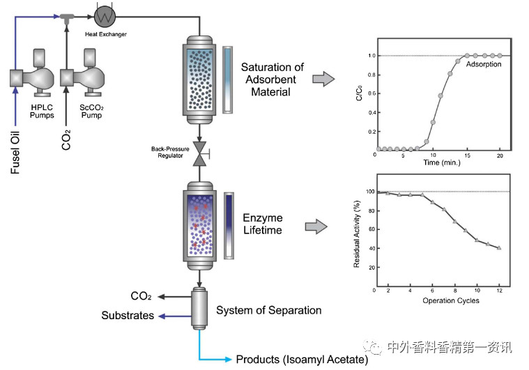 Flavor & Fragrance 文獻(xiàn)綜述：天然香精提取，生產(chǎn)和研究領(lǐng)域的進(jìn)展