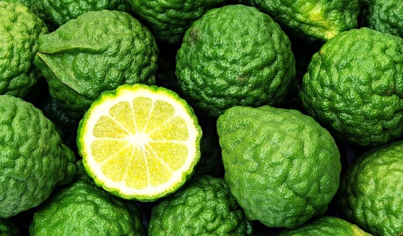 調(diào)香筆記(8)——50種常見的香水成分:氣味和起源 調(diào)香筆記(8)——50種常見的香水成分:氣味和起源