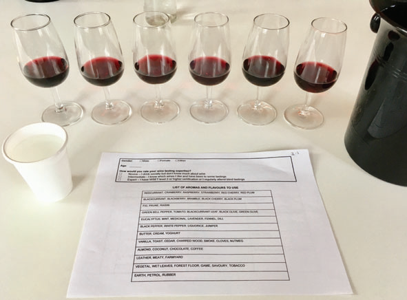 調(diào)香筆記(9)——多感官味覺(jué)感知:感官內(nèi)部和感官之間的調(diào)和、混合、融合和配對(duì)