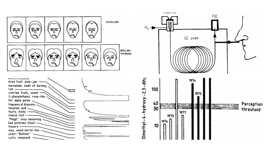 調(diào)香筆記(9)——多感官味覺(jué)感知:感官內(nèi)部和感官之間的調(diào)和、混合、融合和配對(duì)