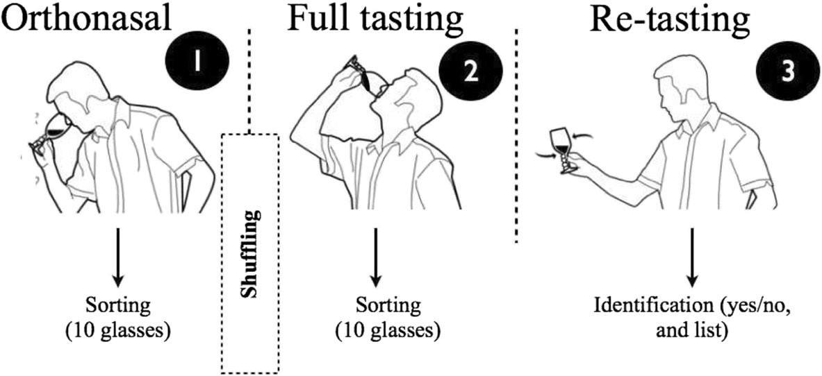 調(diào)香筆記(9)——多感官味覺(jué)感知:感官內(nèi)部和感官之間的調(diào)和、混合、融合和配對(duì)