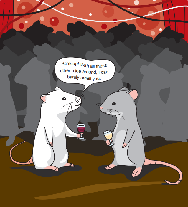 調(diào)香筆記(9)——多感官味覺(jué)感知:感官內(nèi)部和感官之間的調(diào)和、混合、融合和配對(duì)