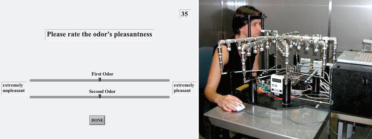 調(diào)香筆記(10)——多感官味覺感知:感官內(nèi)部和感官之間的調(diào)和、混合、融合和配對(duì)