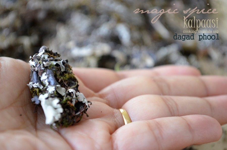 世界地理香料索引(4)—World Geographic Spice Index (4) 世界地理香料索引(4)—World Geographic Spice Index (4)