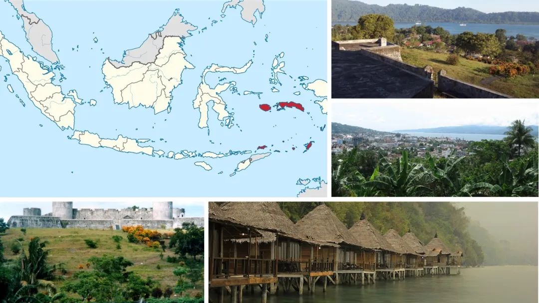 世界地理香料索引(5)—World Geographic Spice Index 世界地理香料索引(5)—World Geographic Spice Index