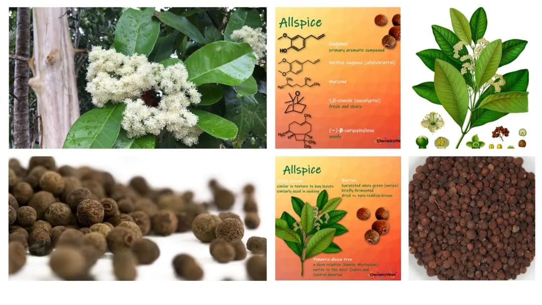 世界地理香料索引(8)—World Geographic Spice Index 世界地理香料索引(8)—World Geographic Spice Index