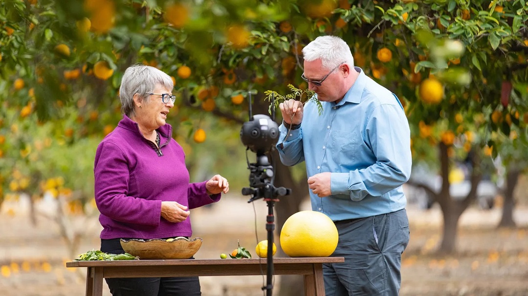 虛擬現(xiàn)實(shí)商業(yè)-奇華頓虛擬口味旅行?柑橘-把風(fēng)味創(chuàng)造到下一個(gè)水平 虛擬現(xiàn)實(shí)商業(yè)-奇華頓虛擬口味旅行?柑橘-把風(fēng)味創(chuàng)造到下一個(gè)水平