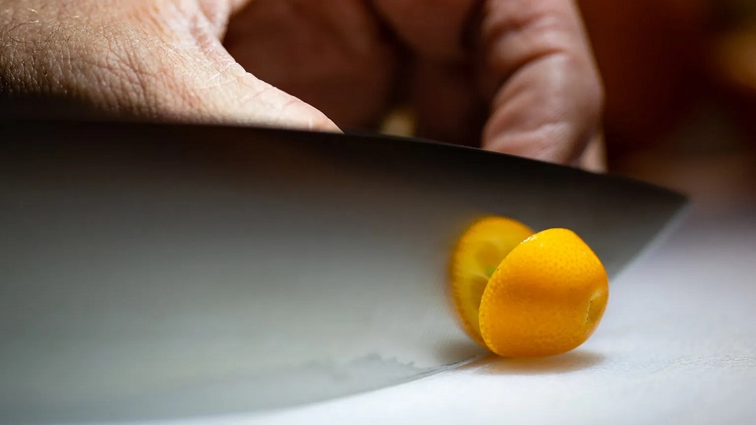 虛擬現(xiàn)實(shí)商業(yè)-奇華頓虛擬口味旅行?柑橘-把風(fēng)味創(chuàng)造到下一個(gè)水平 虛擬現(xiàn)實(shí)商業(yè)-奇華頓虛擬口味旅行?柑橘-把風(fēng)味創(chuàng)造到下一個(gè)水平