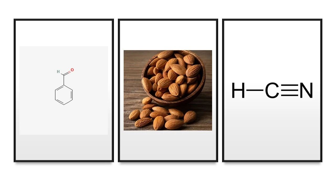 人工智能預(yù)測人類聞到的化學物質(zhì)是什么氣味 人工智能預(yù)測人類聞到的化學物質(zhì)是什么氣味