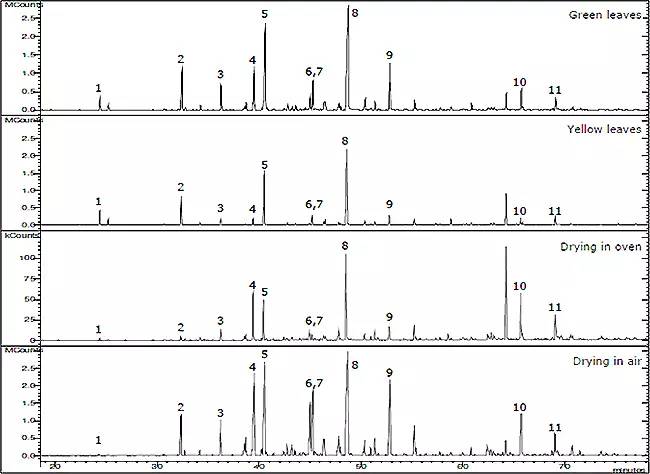 香水有什么化學(xué)背景？