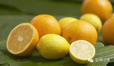 常用于制作香水的植物香料 常用于制作香水的植物香料