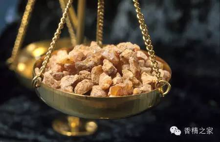 常用于制作香水的植物香料 常用于制作香水的植物香料