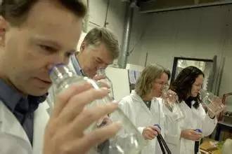 氣味的基本概念與基本學(xué)說(shuō) 氣味的基本概念與基本學(xué)說(shuō)