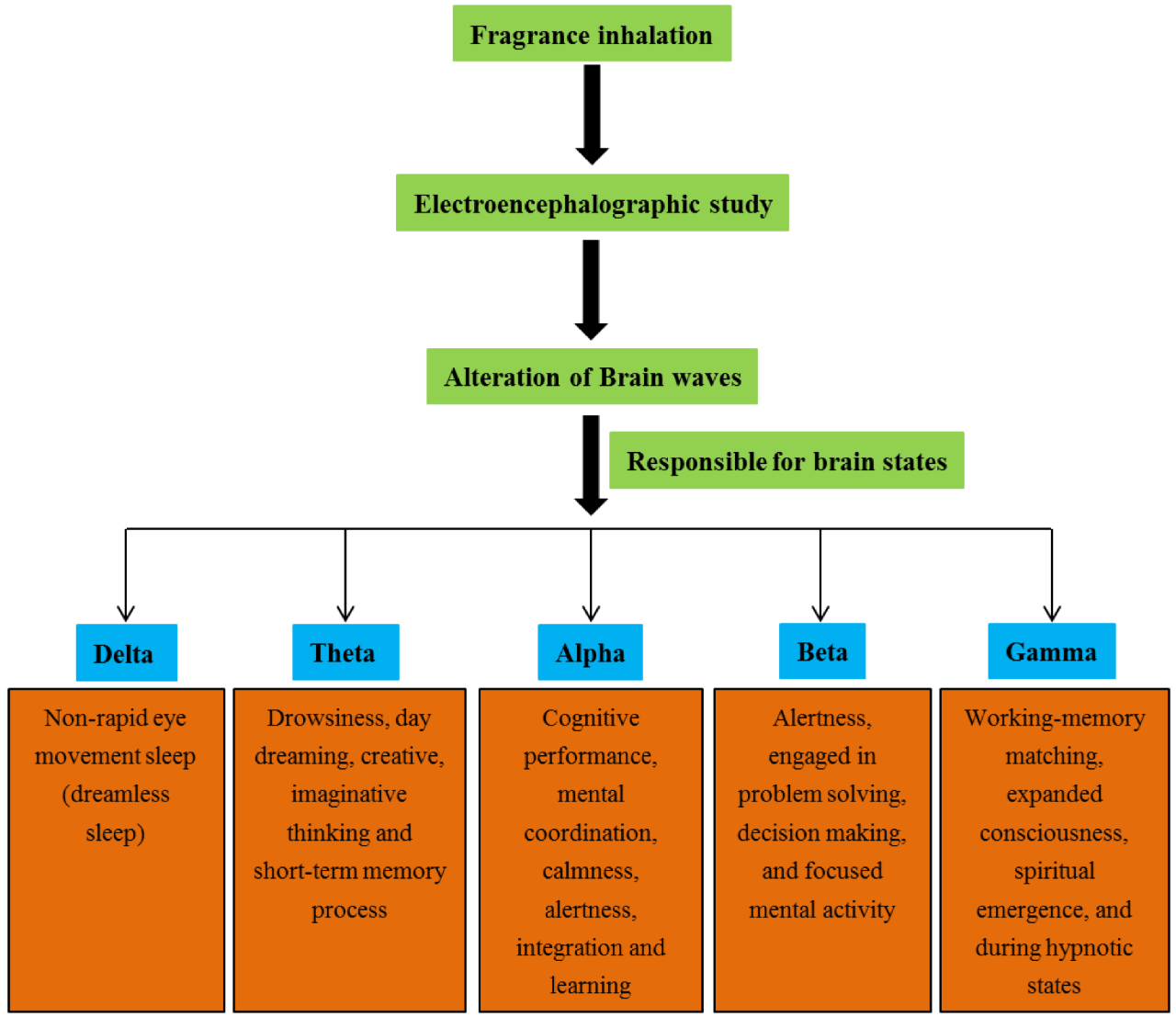 腦電圖與香水有什么關系? 腦電圖與香水有什么關系?