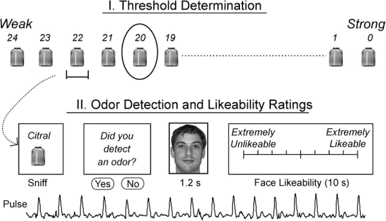 腦電圖與香水有什么關系? 腦電圖與香水有什么關系?