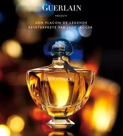 陽光中的“佛手柑”，在拿破侖時期風(fēng)靡“全城”