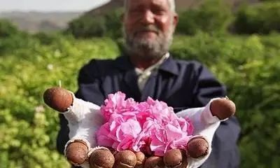 這座充滿“玫瑰香”的城市——卡尚 這座充滿“玫瑰香”的城市——卡尚