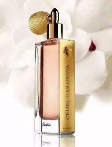 梔子花|4月過(guò)半，純白季即將來(lái)襲，請(qǐng)你穿上“梔子花”入夢(mèng)！