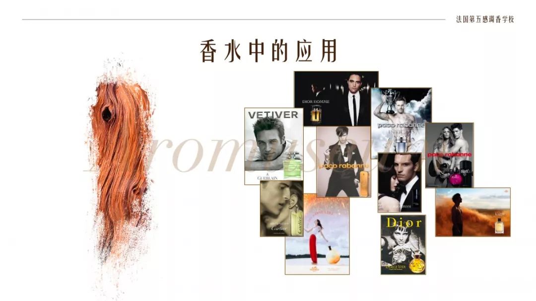 為什么有人一身果香，有人卻一身藿香？