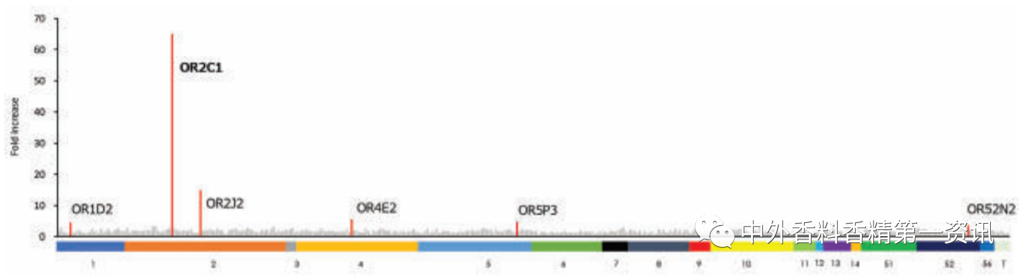 新型去異味香水的開發(fā)與設計 新型去異味香水的開發(fā)與設計