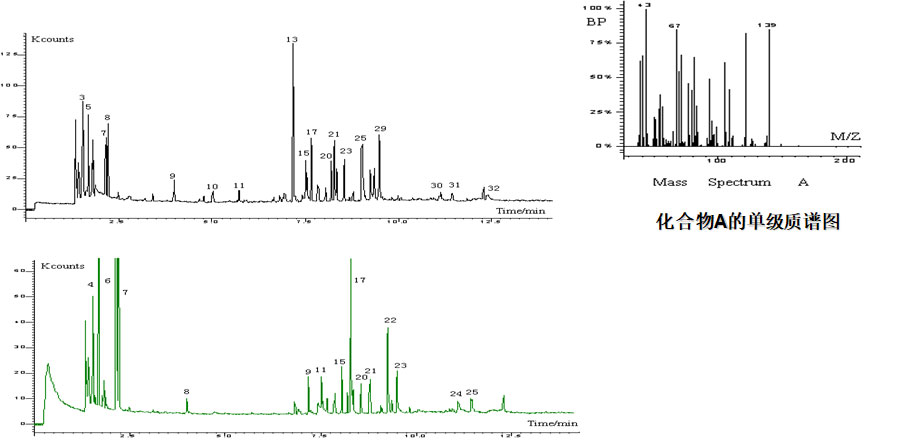 氣相色譜-質(zhì)譜定性分析 氣相色譜-質(zhì)譜定性分析