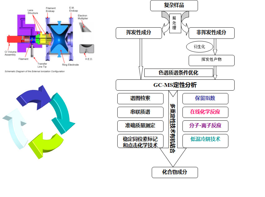 氣相色譜-質(zhì)譜定性分析 氣相色譜-質(zhì)譜定性分析