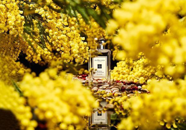 祖瑪瓏最值得買的6款香水！香水界白蓮花，它是初戀的味道