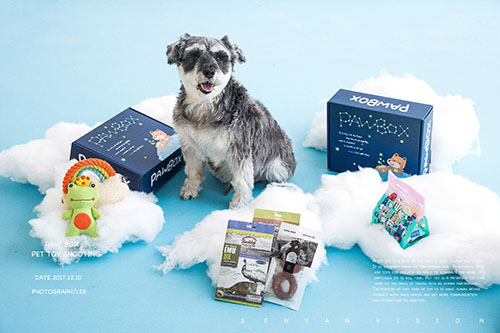 寵物用品有哪些？